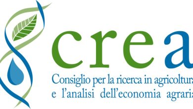 Ricerca: dalla Finanziaria risorse per il CREA