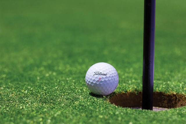 Veerman vince Nedbank Golf Challenge