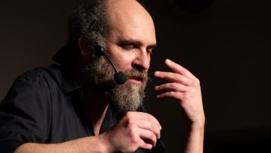 Saulo Lucci Il Canto Politico di Dante