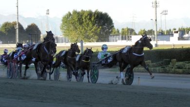 Vinovo domenica di trotto