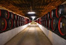 promozione del vino piemontese