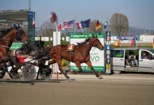 Dany Capar Ippodromo di Vinovo Torino