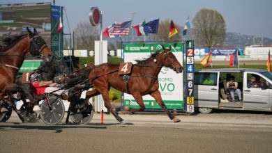 Dany Capar Ippodromo di Vinovo Torino