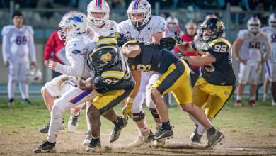 Giuliani Giaguari Torino Aquile Ferrara 29-14