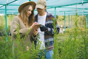 Investimenti produttivi