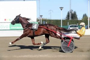 Vernissage Grif Ippodromo di Vinovo Torino