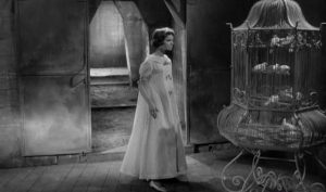 We the Monster rassegna cinematografica