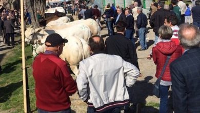 Fiera Vitello Grasso 2026