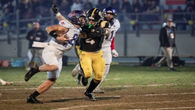 Colangelo Giaguari Guelfi