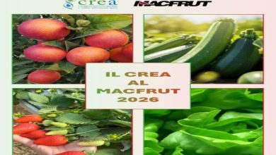 Il CREA a Macfrut 2026
