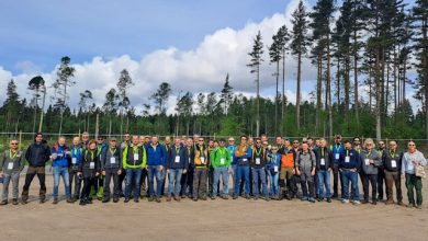 Foreste e innovazione Piemonte