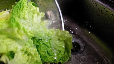 Giornata per la sicurezza alimentare 2025