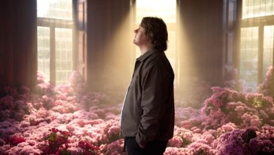 Lewis Capaldi Survive