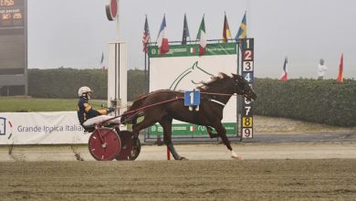 Gran Premio Marangoni 2025