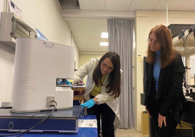 Mangini e Ferrara imaging ottico tridimensionale