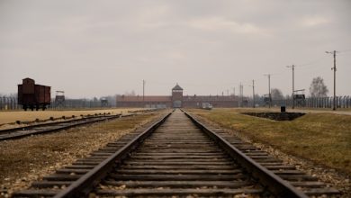 Memo4EU - Auschwitz