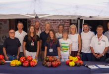 Ufficio Agricoltura Carmagnola Peperoni da record