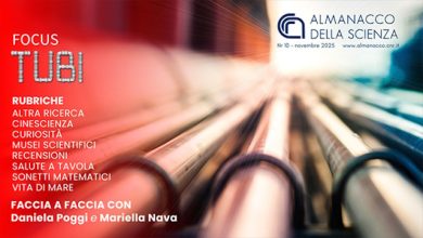 Almanacco della Scienza Cnr sui tubi