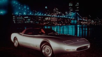 Broad Arrow Jaguar XJ-S Pininfarina