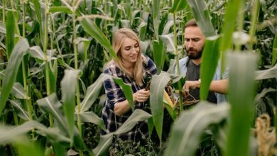 Forum Agroecologia e Biodiversità