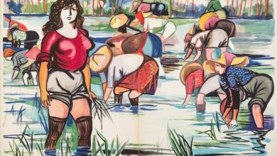 Riso amaro Manifesti d'Artista