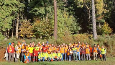 Settimana europea per la sicurezza sul lavoro forestale