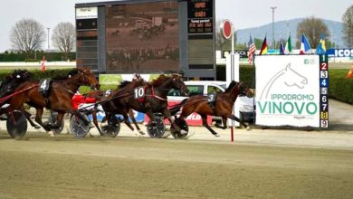 Tris Quartè e Quintè Premio Austria 