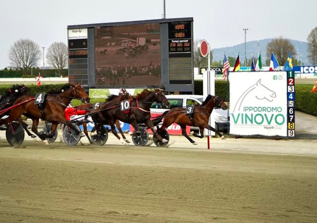 Tris Quartè e Quintè Premio Austria 