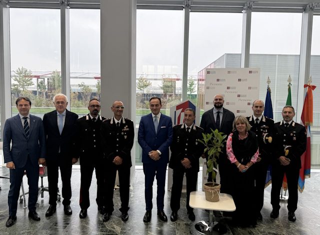 l’Albero di Giovanni Falcone