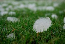 aiuti aziende agricole reti antigrandine