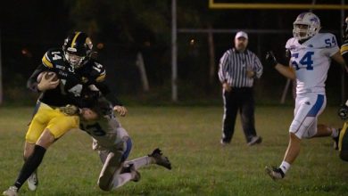 Bono Giaguari Torino