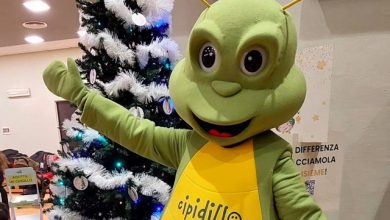 DisFestival Cipidillo