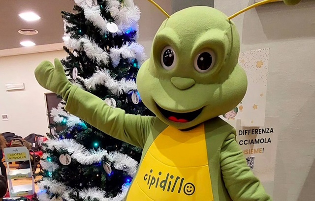 DisFestival Cipidillo