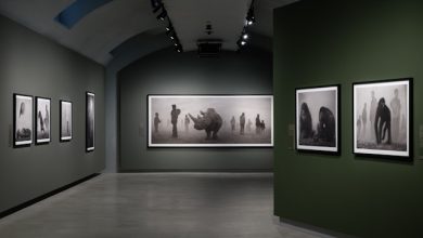 Gallerie d&rsquo;Italia Nick Brandt