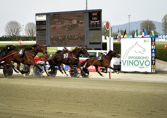 Ippodromo di Vinovo Premio Polonia 2025