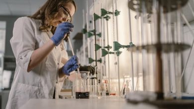 Matchin Regione Piemonte