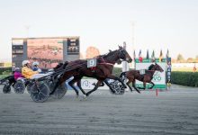 Palio dei Proprietari 2025