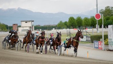 Vinovo 10 dicembre otto corse