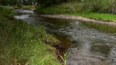 manutenzione dei corsi d'acqua piemonte