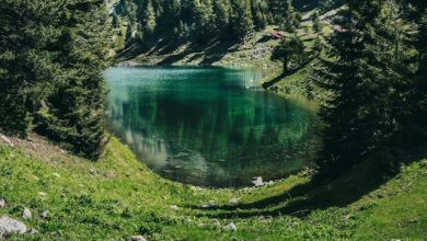 Giornata Internazionale della Montagna 2025