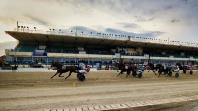 Gran Premio Allevatori – MASAF 2025