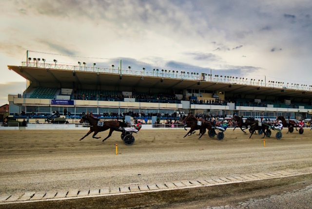 Gran Premio Allevatori – MASAF 2025