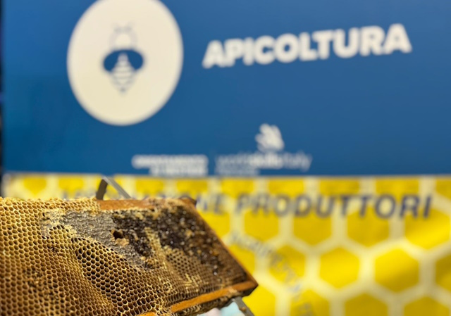 Il regno delle api 2025-26