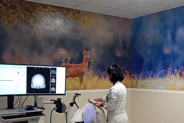 Presidio Ospedaliero di Borgomanero cura cefalea cronica