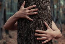 Terapia forestale assistita