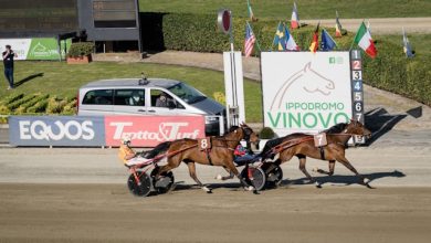 Vinovo Gran Premio Allevatori – MASAF 2025