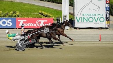 otto corse e 67 cavalli in pista