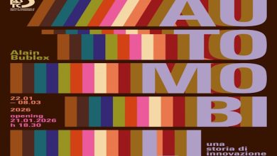 Automobili progetto Alain Bublex