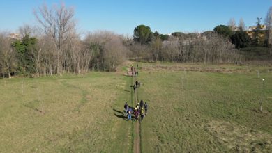 Legambiente Ecosistemi acquatici