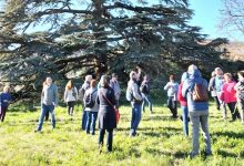 Giornata dell'Energia Sociale 2026